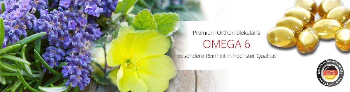 Omega 6 Fettsäuren