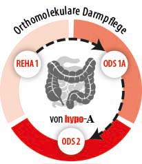 Orthomolekulare Darmpflege