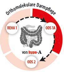 Phase 2 unserer orthomolekularen Darmpflege