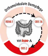 Phase 3 unserer orthomolekularen Darmpflege