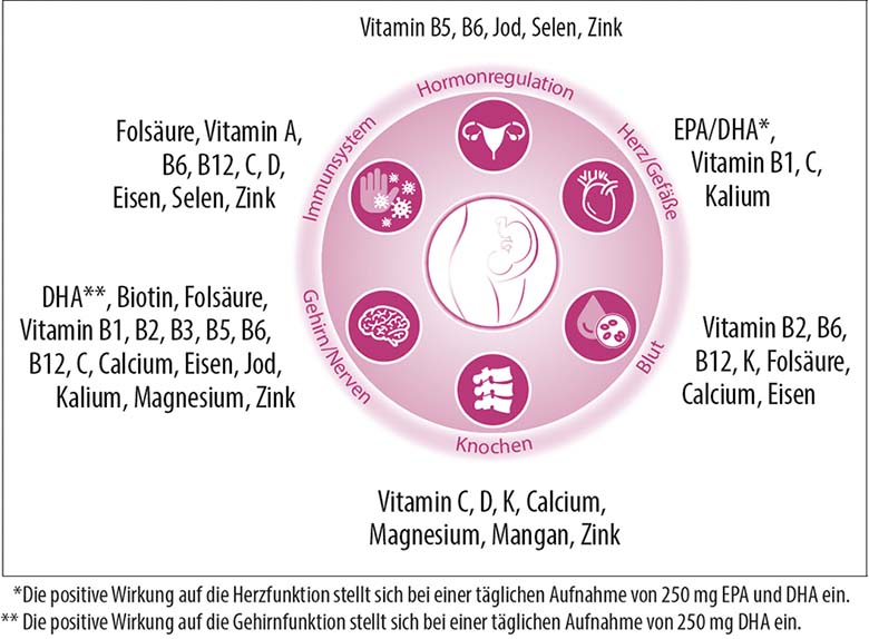 Nährstoffe Schwangerschaft und Stillzeit