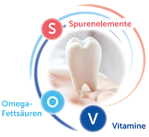 itis Protect Naehrstoffkombination
